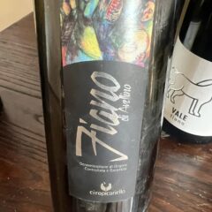 Il Fiano di Avellino 2006 docg