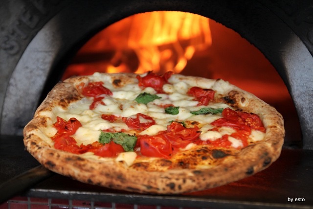 Forno a Gas Professionale per Cuocere la Pizza in Casa Come in Pizzeria