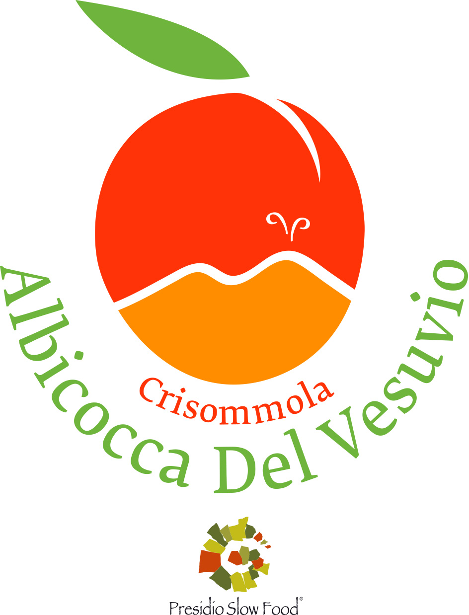 Presidio Slow Food dell’Albicocca del Vesuvio
