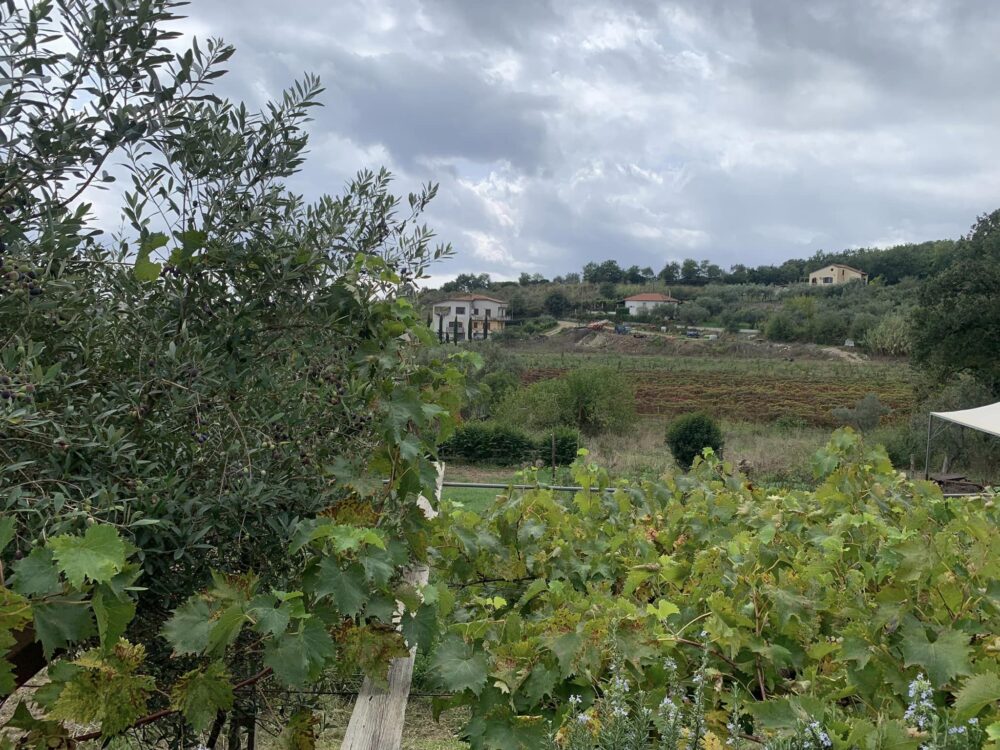 Agriturismo Zio Cristoforo, il panorama dall'azienda