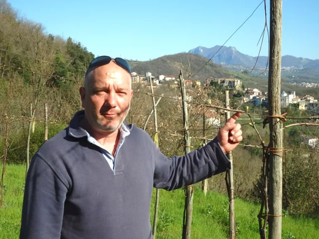 Cantine dell’Angelo a Tufo, passione per il Greco di Tufo