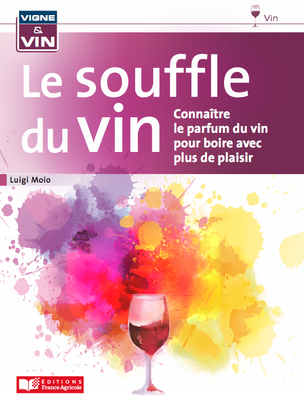 Il Best Seller “Il Respiro del Vino” di Luigi Moio è uscito in Francia con  il titolo “LE SOUFFLE DU VIN” e si presenta a Bordeaux - Luciano Pignataro  Wine Blog