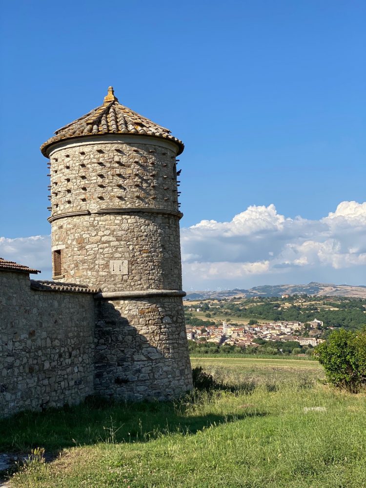 Pizzeria Forte Evo - panorama