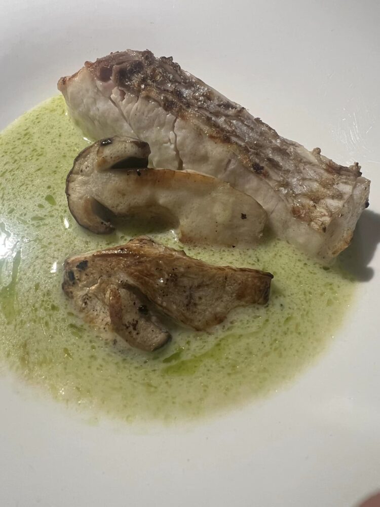 San Pietro - Ventresca di dentice con funghi e il suo fondo