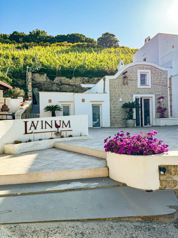 Ingresso - Lavinum Wine Resort