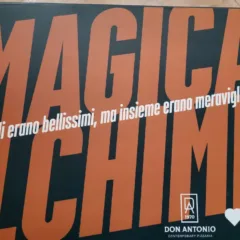 Magica Alchimia - Box