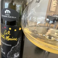 Il vino bianco di Prisco Apicella a Tramonti
