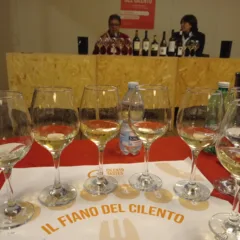 Fiano del Cilento