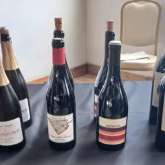Paestum Wine Fest Bottiglie vini del Vulture