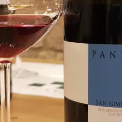 Pinot Nero 2020 Panizzi
