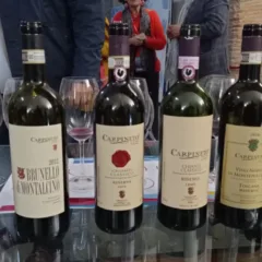Vitigno Italia Bottiglie vini Carpineto