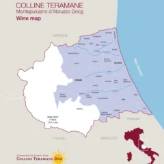 Wine Map Colline Teramane