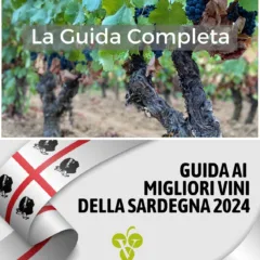 Guida ai Migliori Vini della Sardegna 2024 di Vinodabere.it