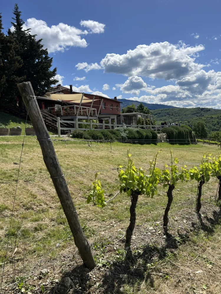 Enoteca Il Quartino di Marchesi Frescobaldi