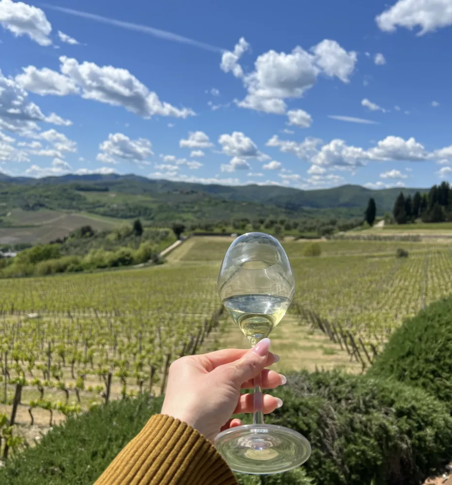 Vigne -Enoteca Il Quartino di Marchesi Frescobaldi