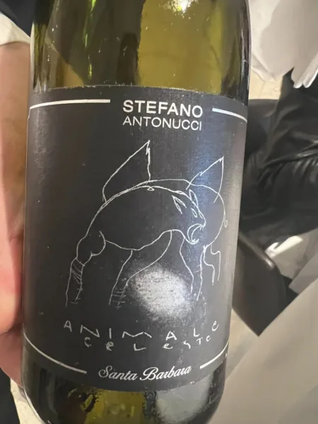 Vitantonio Lombardo Ristorante - vino