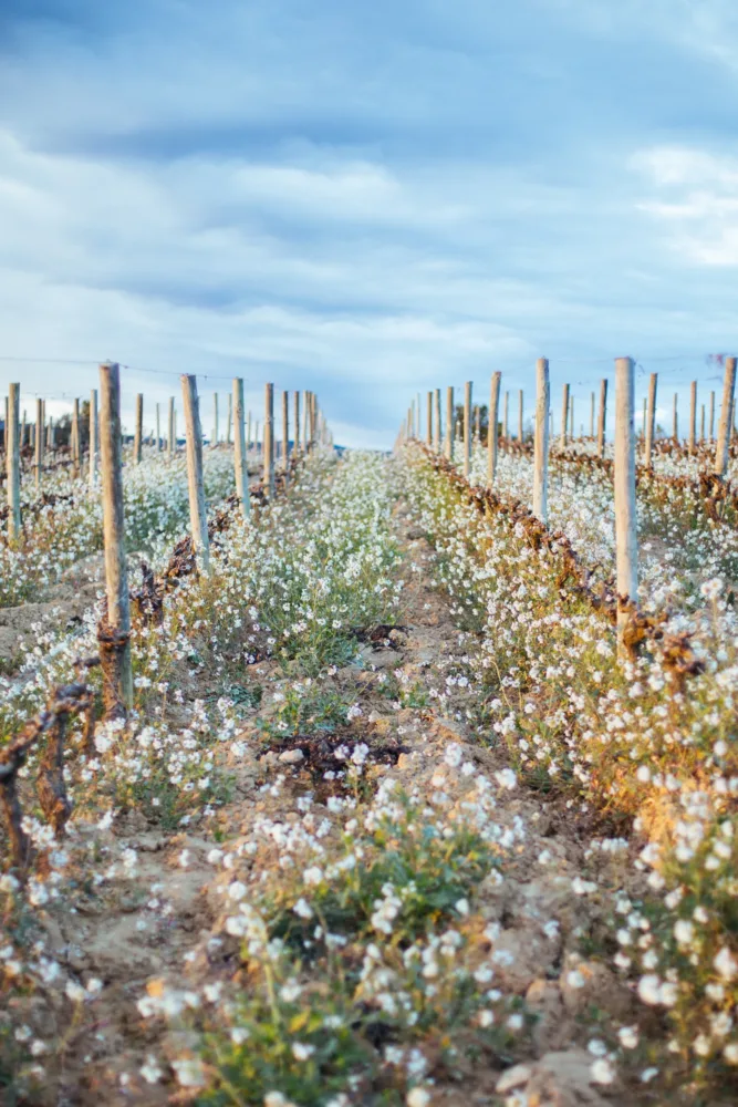 HD-CLOS D'ORA-CREDIT PHOTO SOUFIANE ZAIDI