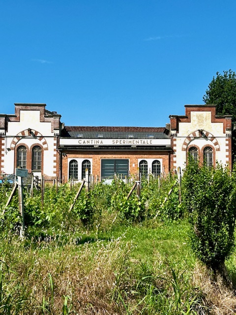La scuola Enologica di Alba ha ospitato la degustazione tecnica di Barolo vigna Gustava, annate 2023,2022, 2021