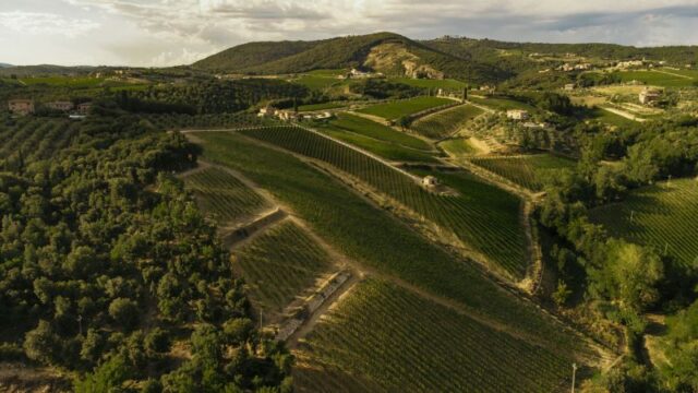 Tenuta Boschetto Campacci