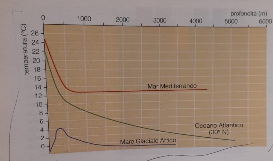 Temperatura Costante nel Mediterraneo