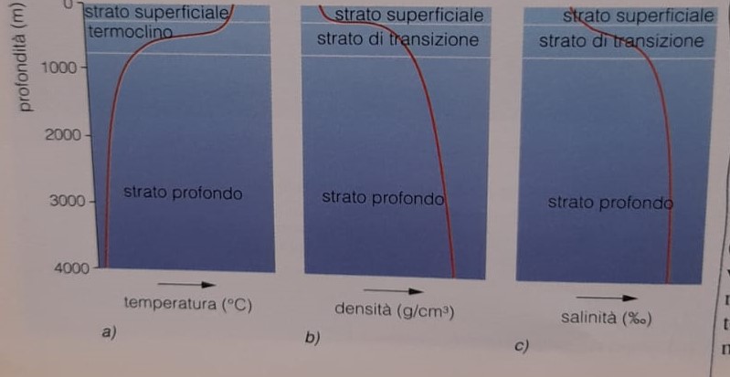 Variazione di Temperatura, Salinità e Densità al variare della Profondità