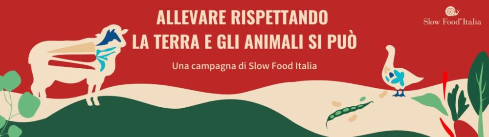 La campagna Slow Food per allevare rispettando gli animali