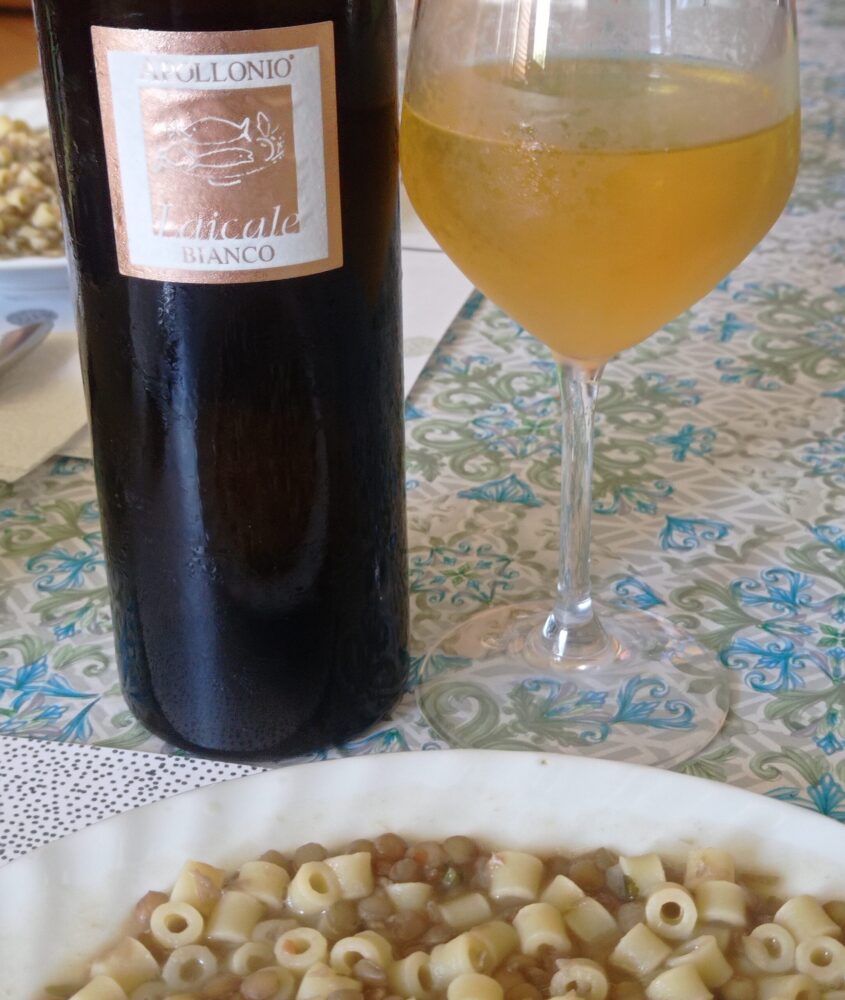 Laicale Bianco Chardonnay Salento Igp 2021 Apollonio
