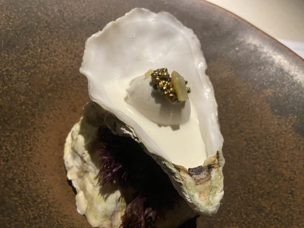 Cera - gelato ostrica, panna acida, caviale