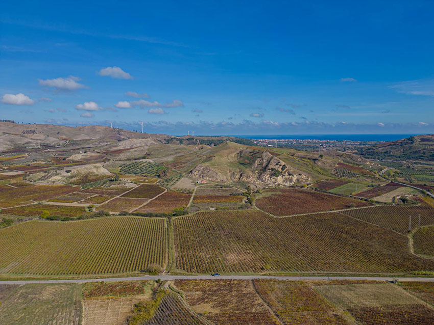 Cirò - territorio