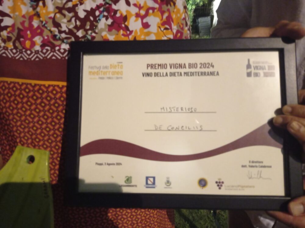 Festival della Dieta Mediterranea Premio al Misterioso di Viticoltori De Conciliis