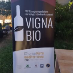 Logo VIII Rassegna Vini Bio e Biodinamici Festival della Dieta Mediterranea