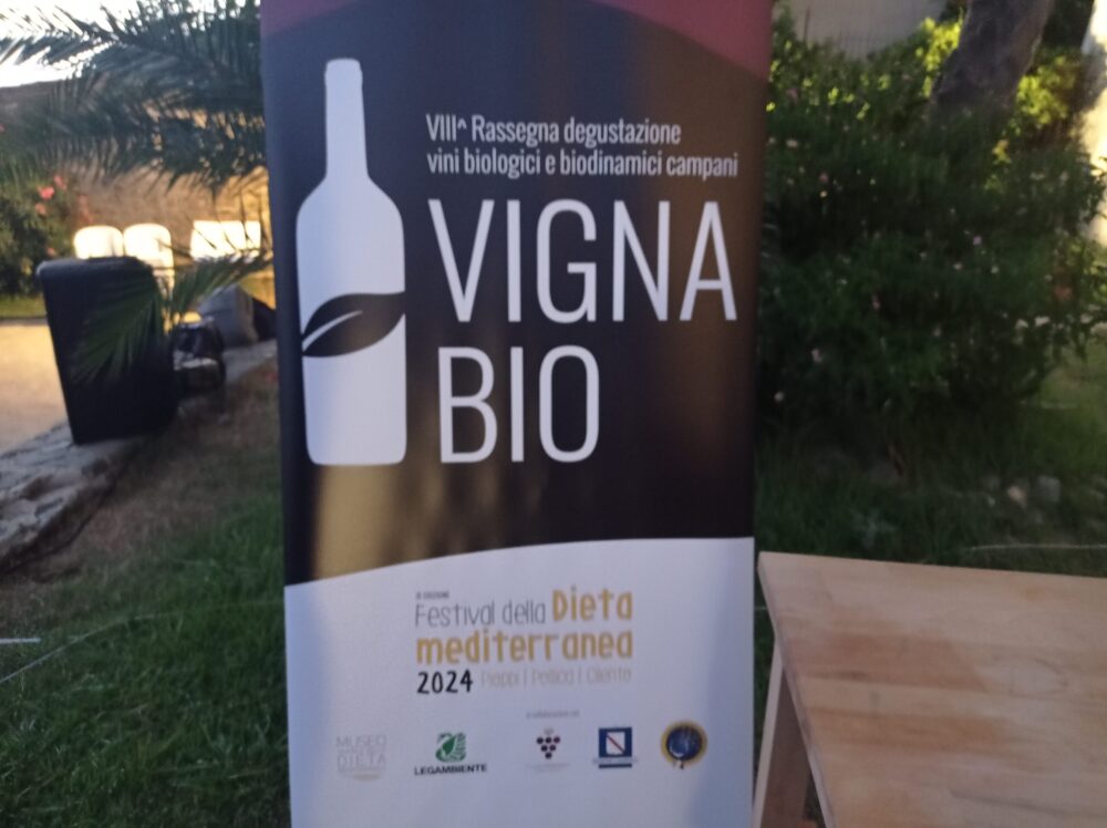 Logo VIII Rassegna Vini Bio e Biodinamici Festival della Dieta Mediterranea