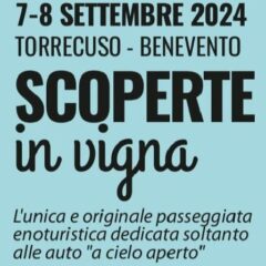 Scoperte in Vigna 2024