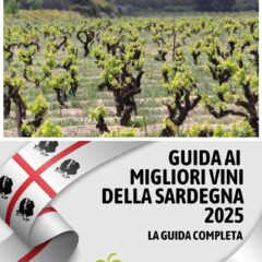 Guida ai Migliori Vini della Sardegna 2025 di Vinodabere.it