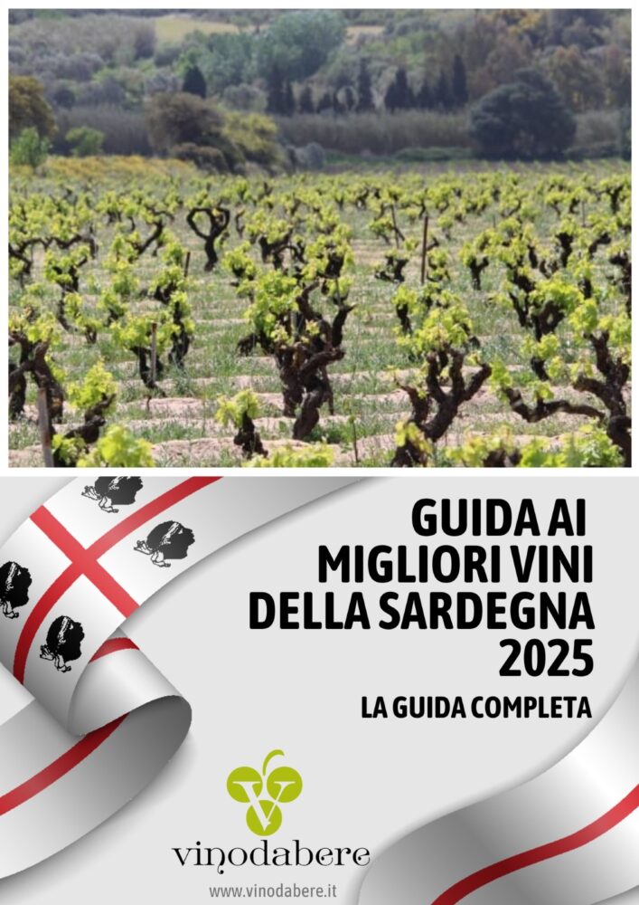 Guida ai Migliori Vini della Sardegna 2025 di Vinodabere.it