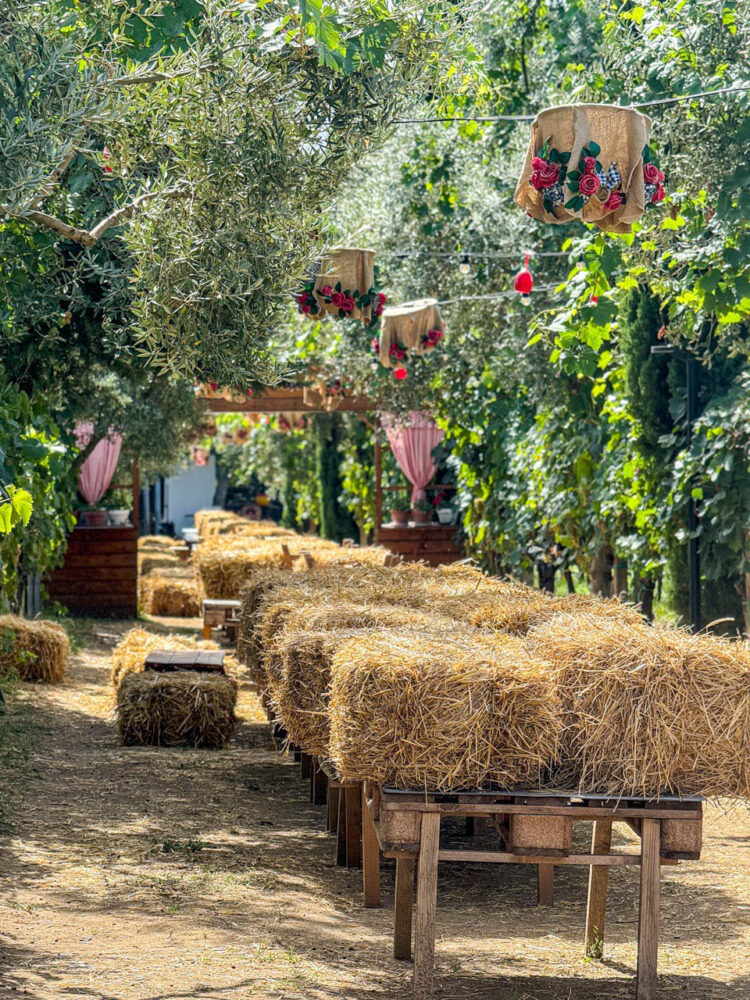 Balle di fieno, area ristoro - Scompiglio Wine