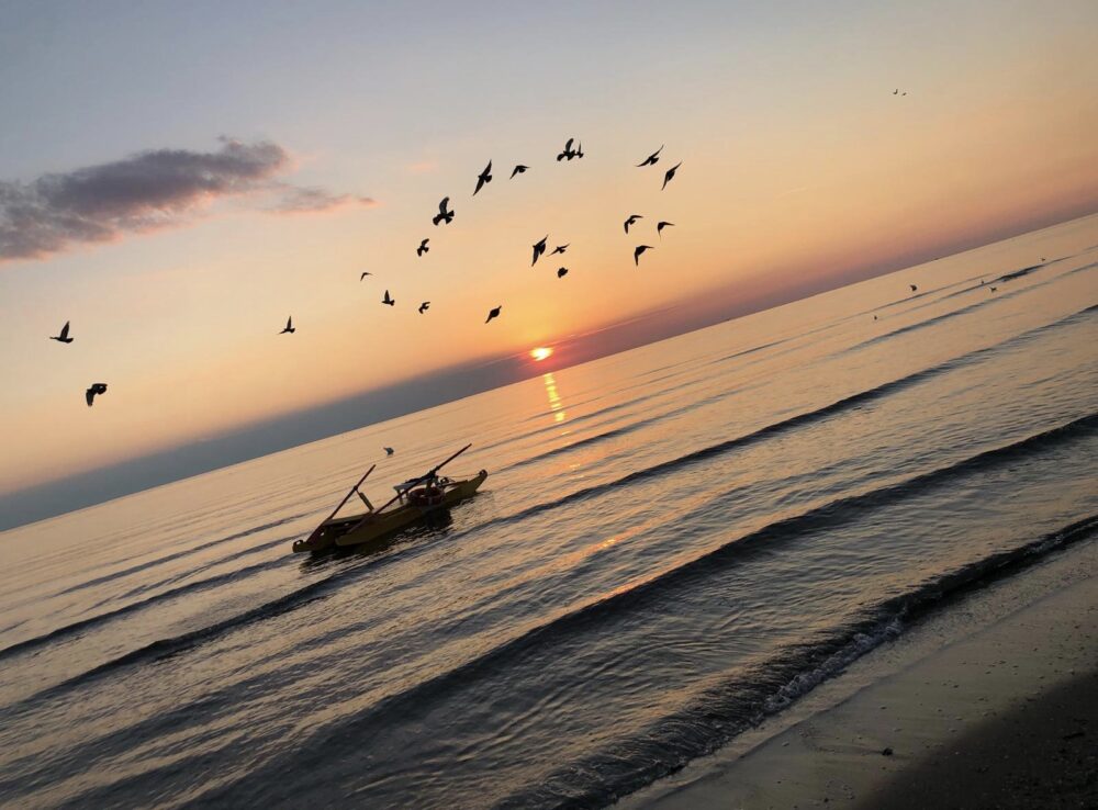 Alba riccionese estate venti ventiquattro 