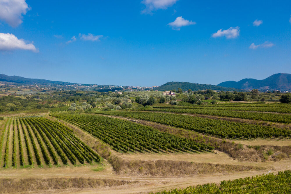 Villa Matilde Ager Falernum