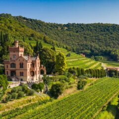 Castello Bonomi – la Tenuta