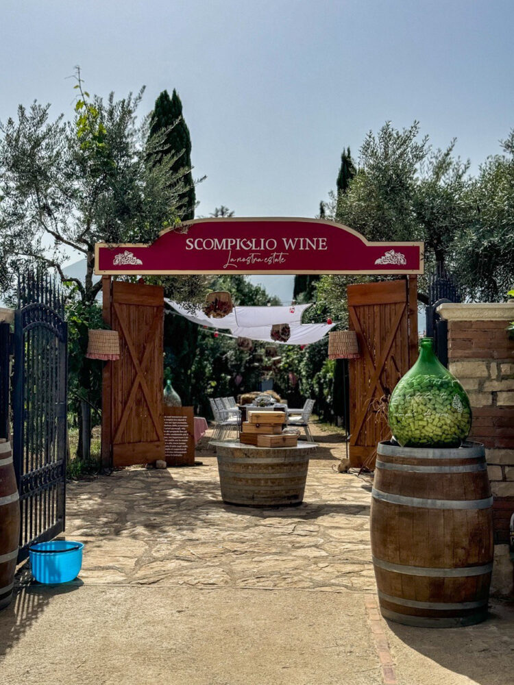 Ingresso - Scompiglio Wine