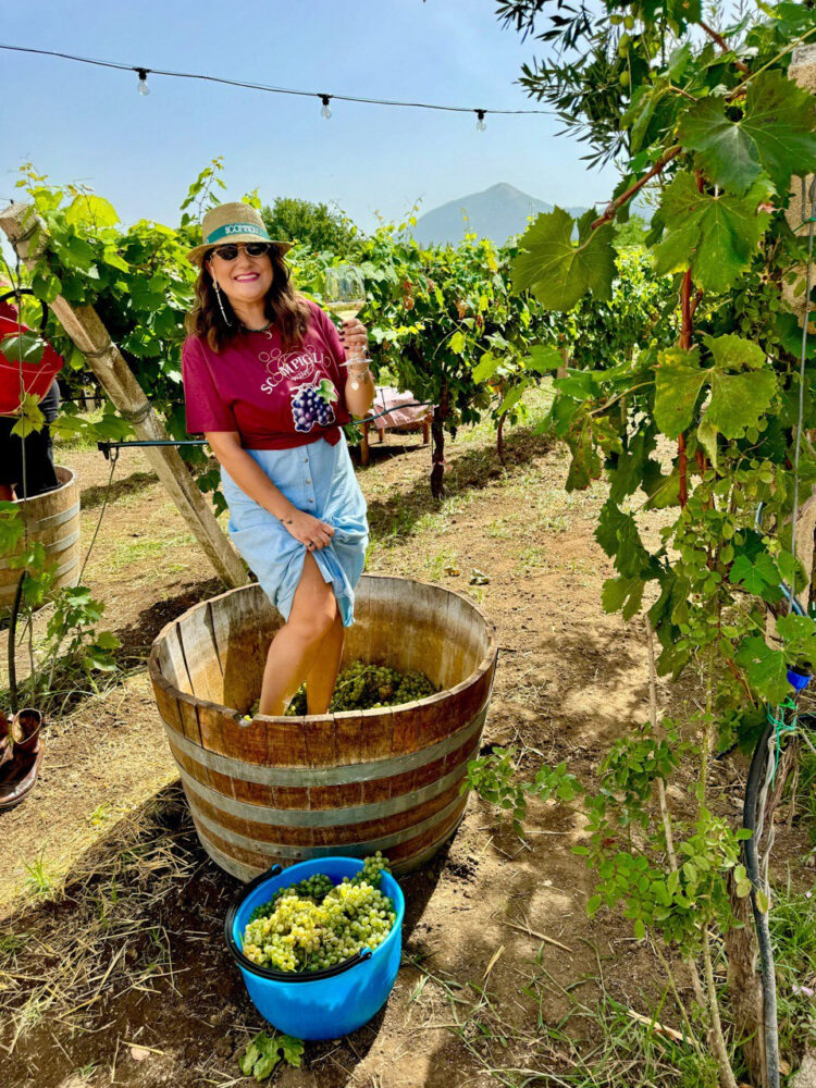 Ornella Buzzone - Scompiglio Wine