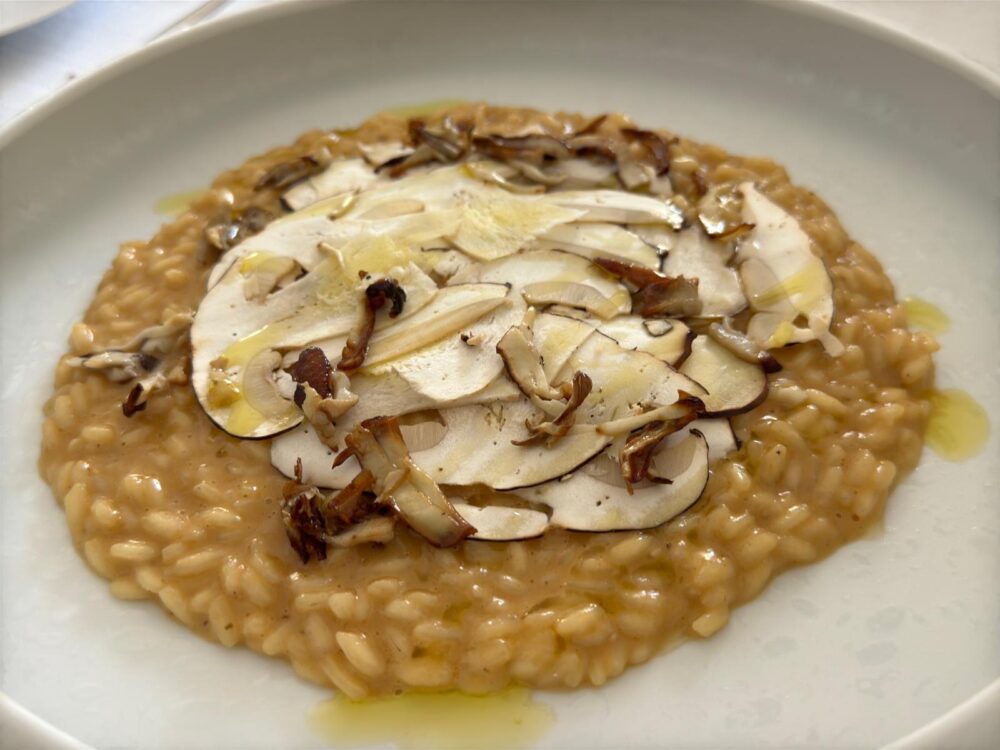 Risotto ai funghi Merak. Foto G. Laforgia