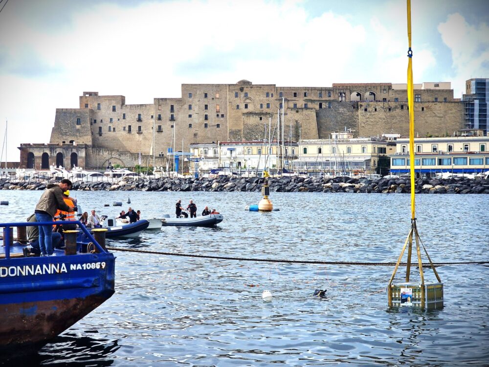 immersione limoncello petrone a napoli