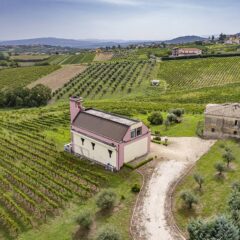 Villa Matilde Tenute Pietrafusa la cantina