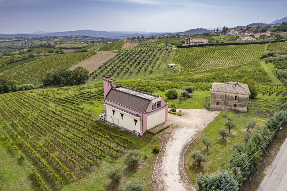 Villa Matilde Tenute Pietrafusa la cantina