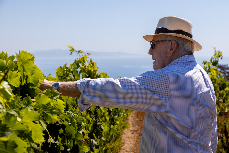 Piermario Meletti Cavallari - Tenuta delle Ripalte