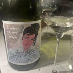 Il Verdicchio di Stefano Antonucci