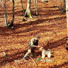 la ricerca di funghi e tartufi sul Pollino