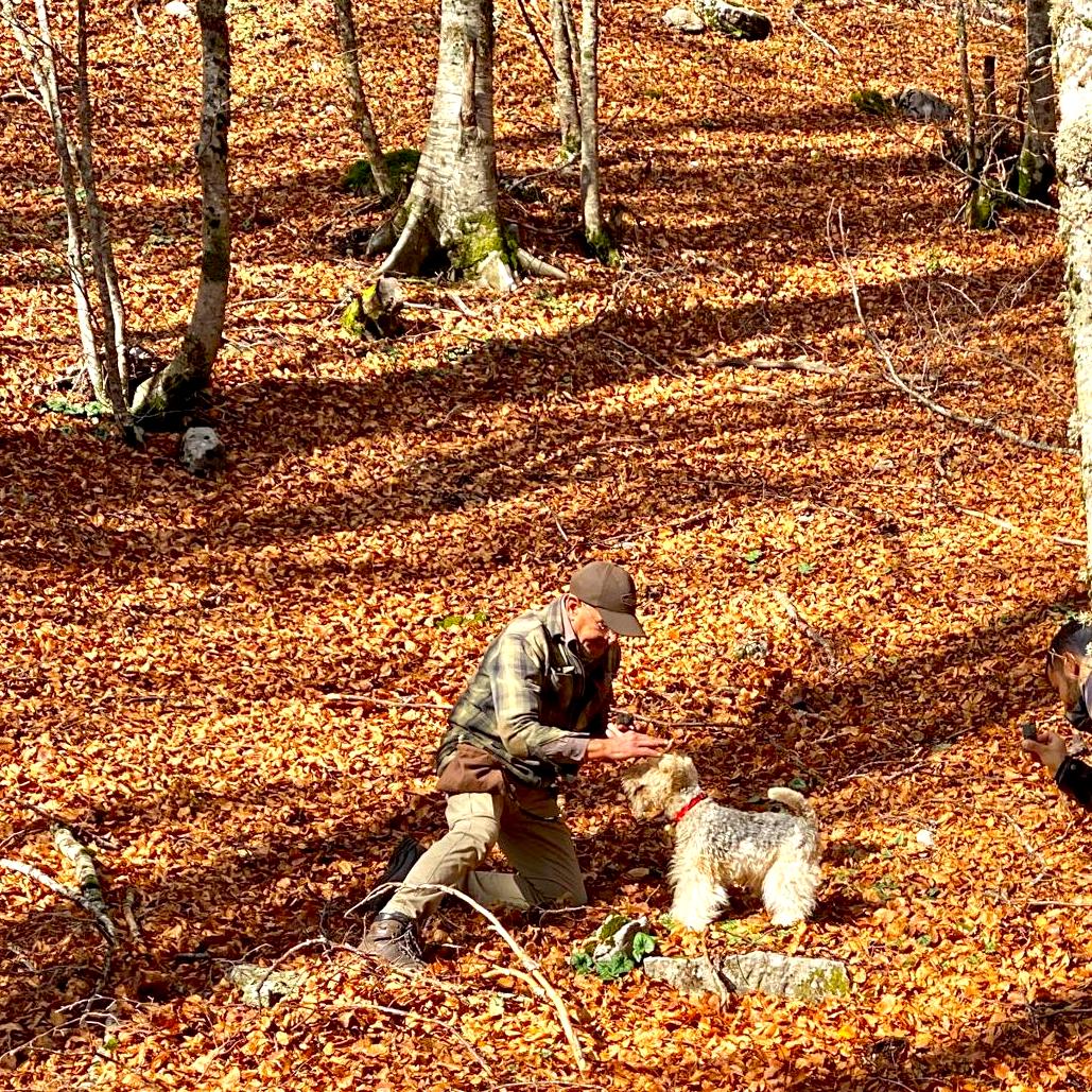 la ricerca di funghi e tartufi sul Pollino