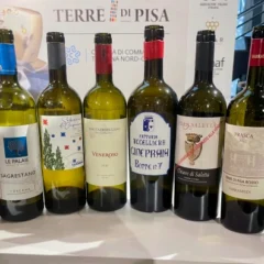 Terre di Pisa Food and Wine festival